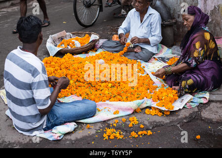 Menschen mit Ringelblume blumen Indien Stockfoto