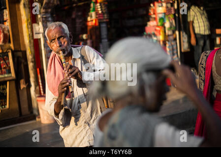Mann spielt eine Flöte in Indien Stockfoto