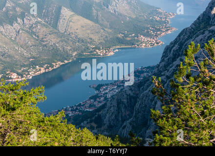 Bucht von Kotor Sommer Neblige Sicht von oben (Montenegro) Stockfoto