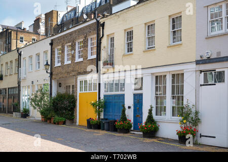 Häuser mit kleinen Bäumen und Sträuchern in Containern in Queens Gate Mews, South Kensington, London, Englan Stockfoto