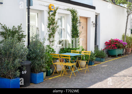 Haus mit kleinen Bäumen und Sträuchern in Containern in Queens Gate Mews, South Kensington, London, England Stockfoto