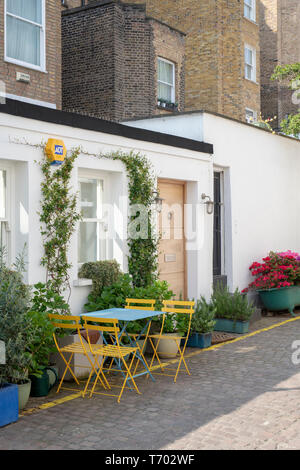 Haus mit kleinen Bäumen und Sträuchern in Containern in Queens Gate Mews, South Kensington, London, England Stockfoto