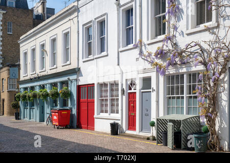Häuser mit Glyzinien und die Queens Arms Pub in Queens Gate Mews, South Kensington, London, England Stockfoto