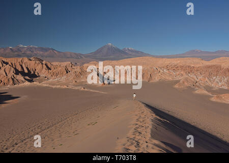Licancabur Vulkan steigt über die Wüste Landschaft im Valle Marte, San Pedro de Atacama, Chile Stockfoto