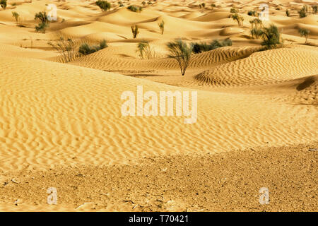 Tunesische Sahara düne Hintergrund in Afrika Stockfoto