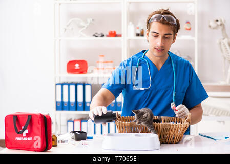 Tierarzt Arzt Kätzchen Prüfung in Animal Hospital Stockfoto