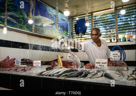 Fischhändler an seinem Messestand in Kandy Municipal Central Market, Kandy, Sri Lanka Stockfoto