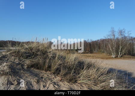 Hamburg Boberg Dünen im Winter Stockfoto