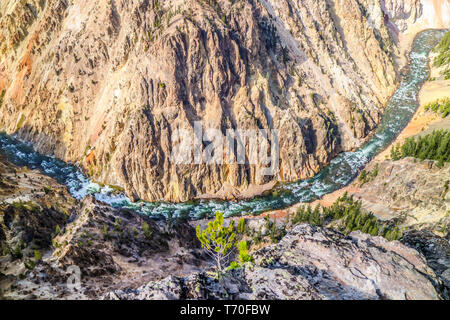 Der berühmte Grand Canyon im Yellowstone in Wyoming Stockfoto