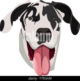 Dogge illustration Vektor auf weißem Hintergrund Stock Vektor