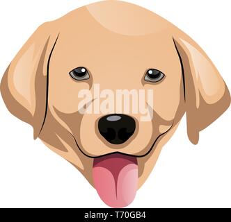 Labrador illustration Vektor auf weißem Hintergrund Stock Vektor