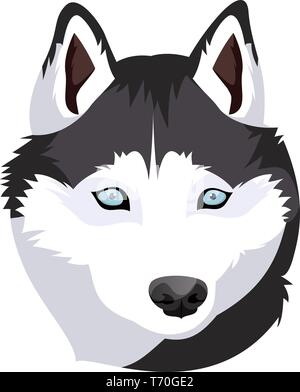 Siberian Husky illustration Vektor auf weißem Hintergrund Stock Vektor
