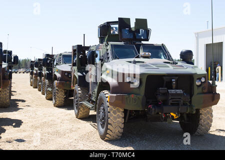 FORT MCCOY, Wis - Die erste Fielding der Gemeinsamen leichter taktischer Fahrzeuge (JLTV), um eine Armee finden Einheit April 25 am Fort McCoy, Wisconsin begann. Die 86 Abteilung Weiterbildung (TD), 84th Ausbildung Befehl (TC), erhielt 17 JLTVs zwischen 25. April und 26. April. Die Einheit wird ihre volle Fielding erhalten, insgesamt 60 Fahrzeuge, die von Mai 17. (U.S. Armee finden Foto von Sgt. 1. Klasse Debralee Besten/86th Abteilung Weiterbildung) Stockfoto