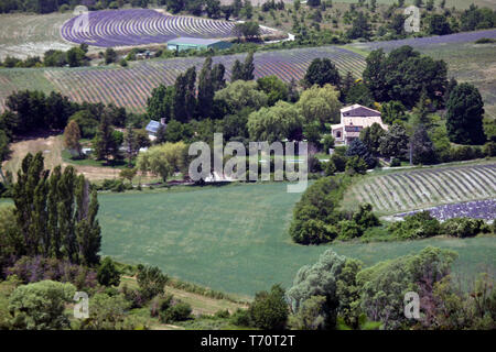 Sault Land, Frankreich Stockfoto