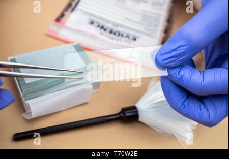 Spezialisierte Polizei unter zeigt Haare im Mikroskop Halterung im wissenschaftlichen Labor zu analysieren, konzeptionell Bild Stockfoto