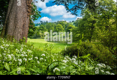 Minterne. Ein informeller englischer Landgarten im Frühling. Stockfoto