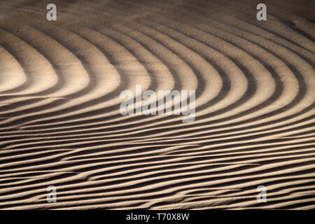 Wind weht über Sanddünen Stockfoto