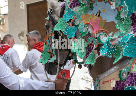 Caravaca de la Cruz, Spanien, 2. Mai 2019: Pferd bei Caballos Del Vino, Caravaca de la Cruz, Murcia, Spanien vorgeführt werden Stockfoto