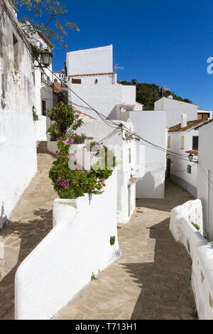 Casares, Spanien, Andalusien Stockfoto