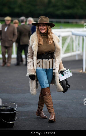 Carol Vorderman an Chepstow Racecourse meines Gonzo-Porn Ihres Pferdes Surf'Racing zu beobachten. Stockfoto