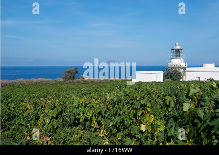 Weinberg, Capofaro Resort, Salina, Äolischen Inseln, Sizilien, Italien, Europa, EU Stockfoto