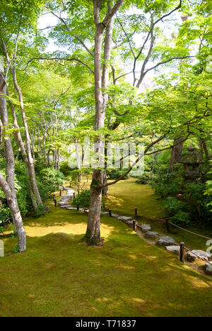 Okochi Senso Garten umgibt die Villa von japanischen Schauspieler Denjiro Okochi 1898 bis 1962. Sprungbretter und Laternen führen das Auge über das Moos Stockfoto