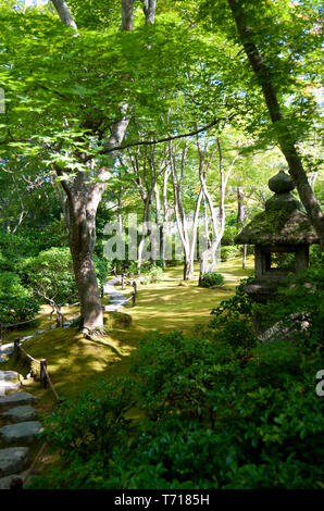 Okochi Senso Garten umgibt die Villa von japanischen Schauspieler Denjiro Okochi 1898 bis 1962. Sprungbretter und Laternen führen das Auge über das Moos Stockfoto
