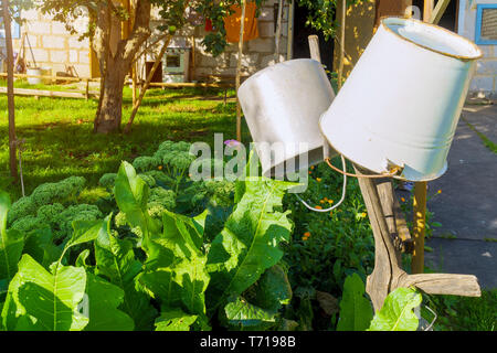 Eisen zwei Eimer kopfüber auf dem Ast im Garten Stockfoto