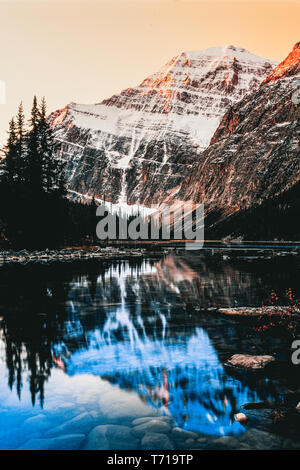 Mount Edith Cavell und Cavell Lake bei Sonnenaufgang Stockfoto