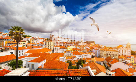 Lissabon, Portugal Skyline der Stadt über das Viertel Alfama mit Möwen über die Stadt fliegen. Sommer Sonne Tag Stadtbild in der Alfama, dem historischen o Stockfoto