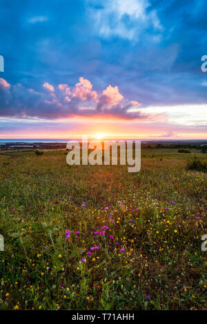 Sonnenuntergang am Horizont mit den Himmel über einem ländlichen Bereich und das Meer im Hintergrund. Sonnenuntergang, Sonnenaufgang über ländlichen wiese feld. Landschaft Landschaft mit s Stockfoto