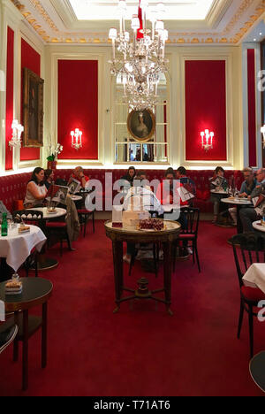 Innenraum der traditionellen Kaffeehaus Sacher in Wien - Österreich. Stockfoto