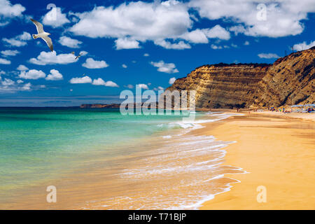 Praia de Porto de Mos mit Möwen über den Strand, Lagos, Portugal fliegen. Praia do Porto de Mos, Long Beach in Lagos, Algarve, Portugal. Stockfoto