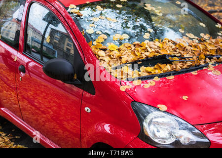 Auto bedeckt mit Blätter im Herbst Stockfoto
