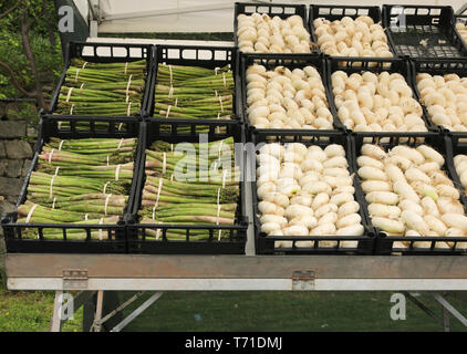 Abschaltdruck der Gemüsehändler mit grünem Spargel und weißen Zwiebeln auf die Boxen für den Verkauf am lokalen Markt für Obst und Gemüse Stockfoto