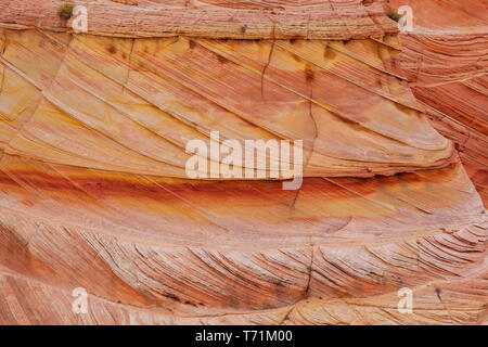 Sandstein-Textur Stockfoto
