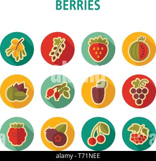 Frische Beeren Symbole gesetzt. Vector Illustration für Essen Anwendungen und Webseiten Stock Vektor