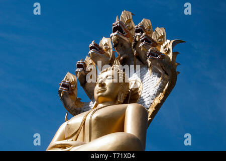 Tha t Thailand, in der Nähe von Giant Buddha unter sieben vorangegangen Naga im Wat Tha Tonne sitzt Stockfoto