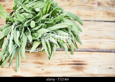 Frisch geschnitten und grün geerntet, Salbeiblätter in einem Drahtkorb auf einer hölzernen Markt Tabelle gesehen von oben mit Kopie Raum Stockfoto