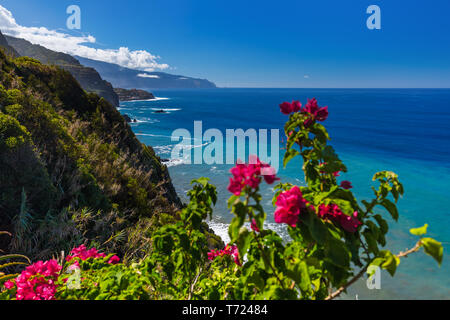 Blumen an der Küste in Boaventura - Madeira Portugal Stockfoto