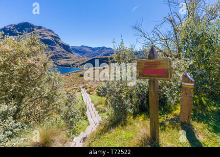 Panoramablick auf den Hauptweg im Cajas Nationalpark Stockfoto