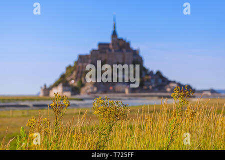 Mont Saint Michel Abtei - Normandie Frankreich Stockfoto