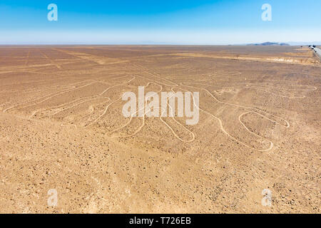 Nazca Linien der große Baum Peru Stockfoto