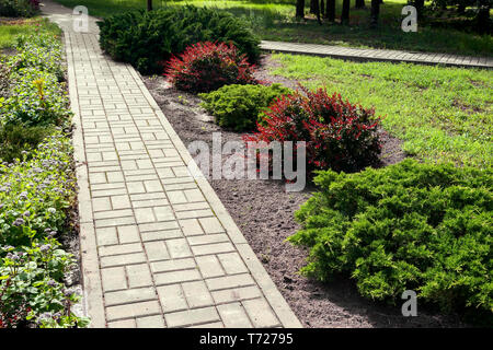Der Pfad im Park, mit keramischen Fliesen bedeckt, entlang der Bahn auf beiden Seiten wachsen schöne Ziersträucher. Stockfoto