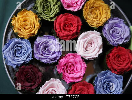 Getrocknete farbigen Rosen liegen auf einem Fach Nostalgie, Vintage und Duft Konzept. Stockfoto