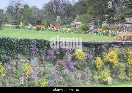 Tissington Halle Gärten im Frühling, in der Nähe von Ashbourne im Peak District National Park, Derbyshire, England, Großbritannien Stockfoto