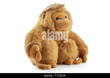 Monkey Puppe Plüsch Spielzeug studio isoliert. , Jocko Schimpanse, Gorilla, menschenähnlich, Hominiden. Stockfoto