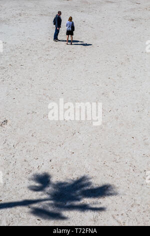 Touristen am Strand in Port d'Alcudia, Mallorca, Spanien. Stockfoto