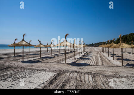 Stroh Sonnenschirme und frisch geharkt Sand am Strand in Port d'Alcudia, Mallorca, Spanien. Stockfoto