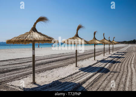 Stroh Sonnenschirme und frisch geharkt Sand am Strand in Port d'Alcudia, Mallorca, Spanien. Stockfoto